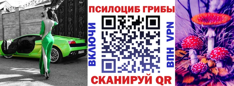 ссылка на мегу ТОР  Южноуральск  Псилоцибиновые грибы мицелий 