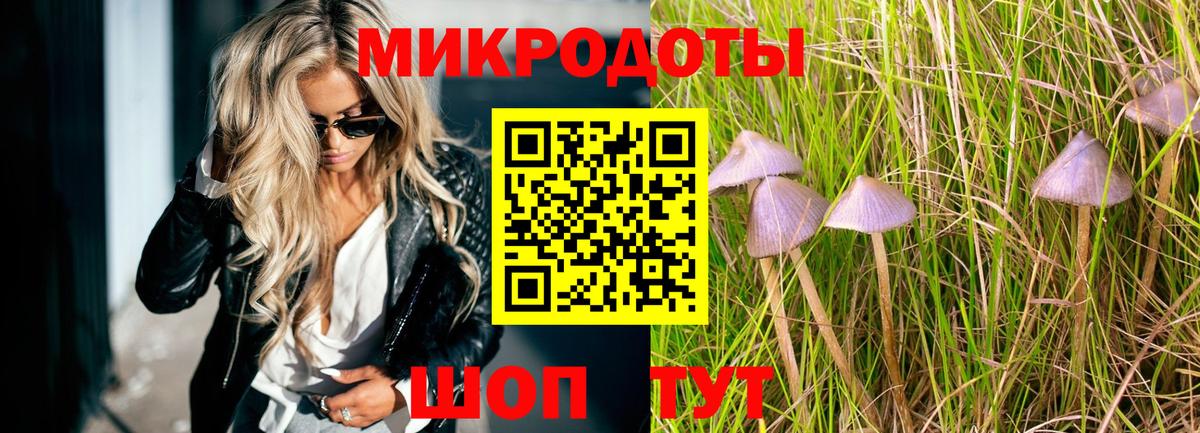 Южноуральск  Галлюциногенные грибы мицелий  Вход с VPN 